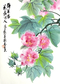 芙蓉1508.jpg